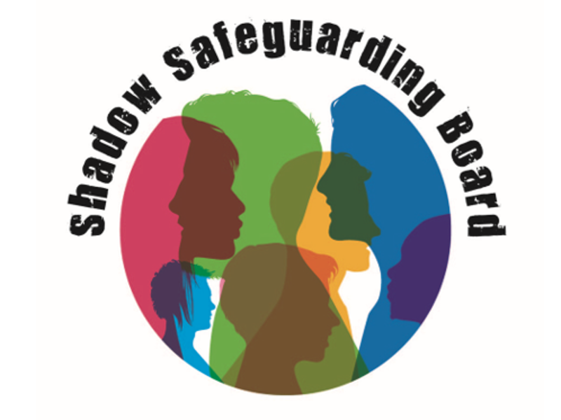 Shadow Safeguarding Board