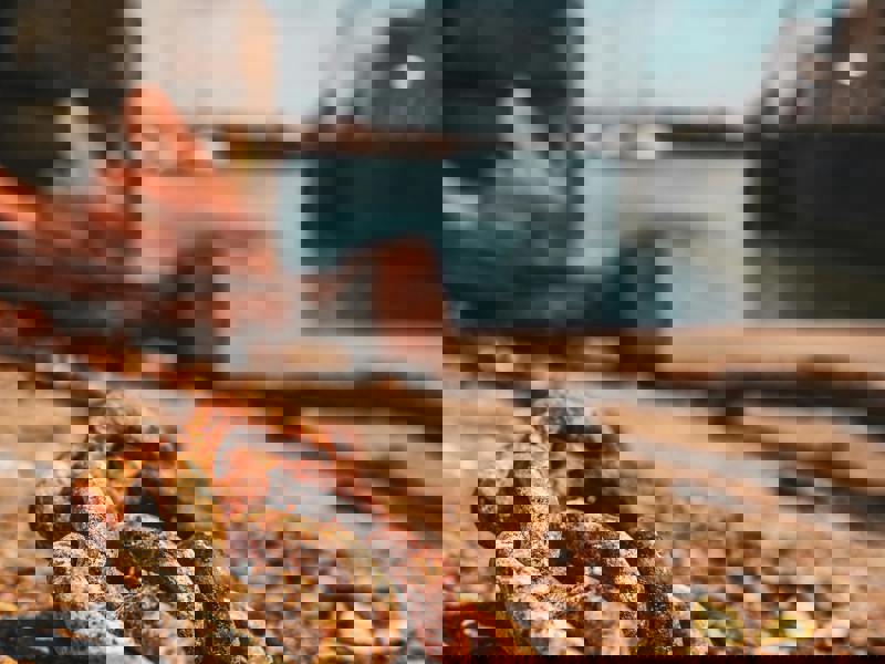 Training Opportunity: Advanced Child Protection